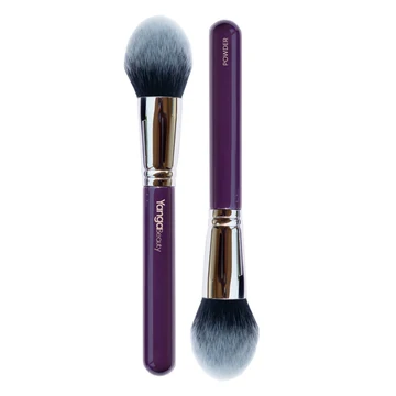 Power Brush